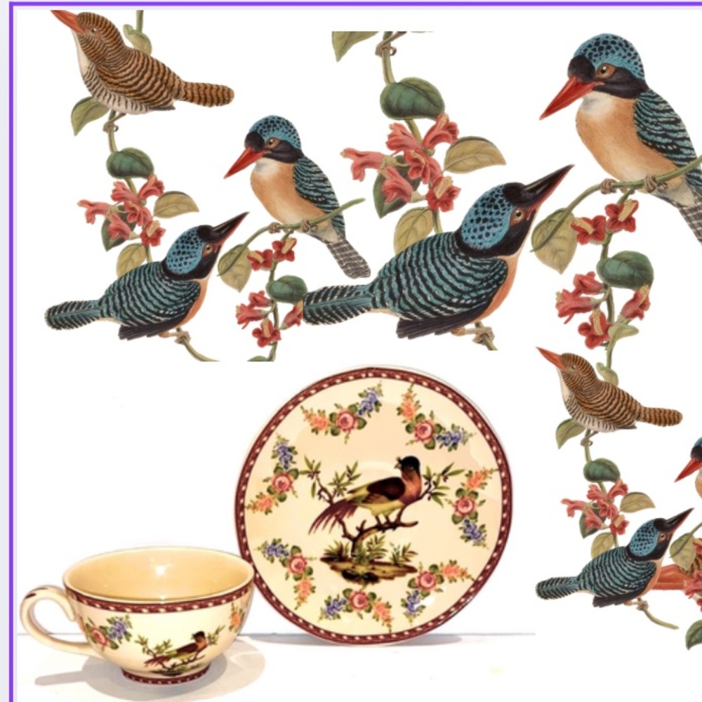 Here You Go Cup & Saucer Collectors! Italian Shallow Teacup and Saucer Set